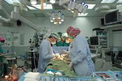 Пересадка органов в Израиле. Отделение общей и трансплантационной хирургии. Израильский хирургический центр.